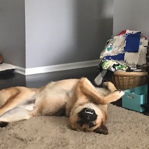 Meet your Posher, Anna